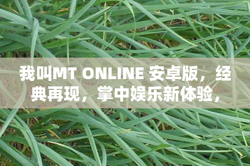 我叫MT ONLINE 安卓版图片