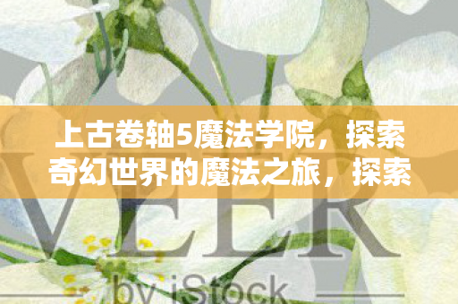 探索奇幻世界的魔法之旅图片