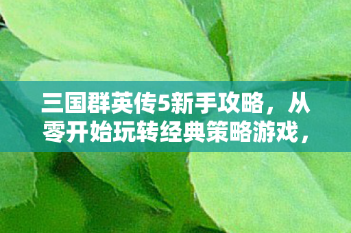 从零开始玩转经典策略游戏图片