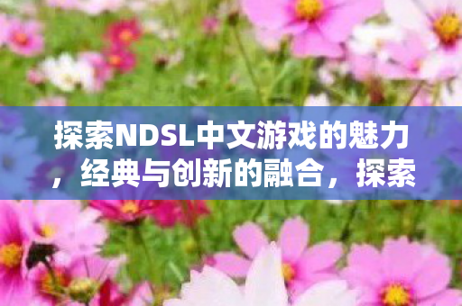 探索NDSL中文游戏的魅力图片