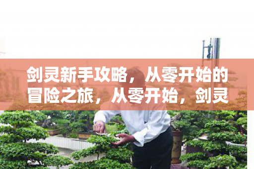 剑灵新手攻略,从零开始的冒险之旅,从零开始,剑灵新手冒险攻略 剑灵新手攻略,从零开始的冒险之旅,从零开始,剑灵新手冒险攻略