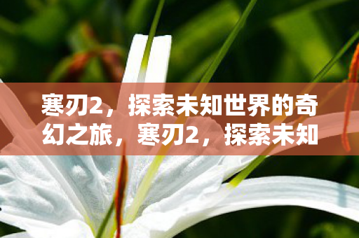 寒刃2,探索未知世界的奇幻之旅,寒刃2,探索未知世界的奇幻冒险之旅 寒刃2,探索未知世界的奇幻之旅,寒刃2,探索未知世界的奇幻冒险之旅