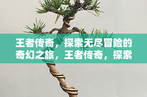 王者传奇,探索无尽冒险的奇幻之旅,王者传奇,探索无尽冒险的奇幻之旅 王者传奇,探索无尽冒险的奇幻之旅,王者传奇,探索无尽冒险的奇幻之旅
