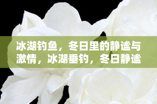 冰湖钓鱼,冬日里的静谧与激情,冰湖垂钓,冬日静谧中的激情体验 冰湖钓鱼,冬日里的静谧与激情,冰湖垂钓,冬日静谧中的激情体验