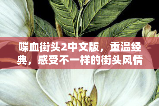喋血街头2中文版,重温经典,感受不一样的街头风情,喋血街头2中文版,重温经典街头风情 喋血街头2中文版,重温经典,感受不一样的街头风情,喋血街头2中文版,重温经典街头风情