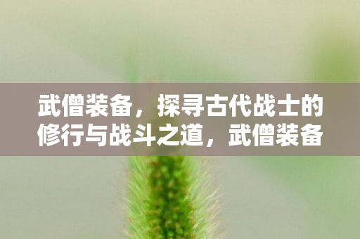 武僧装备,探寻古代战士的修行与战斗之道,武僧装备,探寻古代战士的修行与战斗之道 武僧装备,探寻古代战士的修行与战斗之道,武僧装备,探寻古代战士的修行与战斗之道