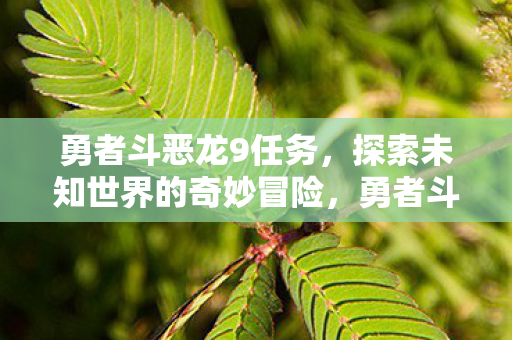 勇者斗恶龙9任务,探索未知世界的奇妙冒险,勇者斗恶龙9,探索未知世界的奇妙冒险之旅 勇者斗恶龙9任务,探索未知世界的奇妙冒险,勇者斗恶龙9,探索未知世界的奇妙冒险之旅