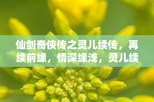 仙剑奇侠传之灵儿续传,再续前缘,情深缘浅,灵儿续传情深缘浅,再续前缘 仙剑奇侠传之灵儿续传,再续前缘,情深缘浅,灵儿续传情深缘浅,再续前缘