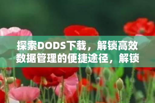 解锁高效数据管理的便捷途径图片