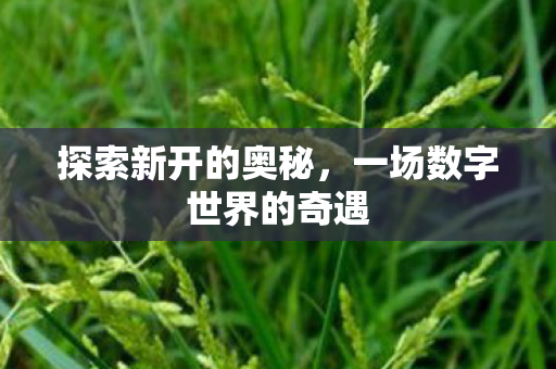 一场数字世界的奇遇图片