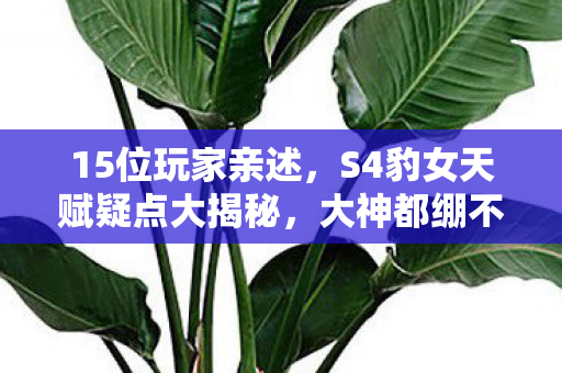 15位玩家亲述,S4豹女天赋疑点大揭秘,大神都绷不住笑了! 15位玩家亲述,S4豹女天赋疑点大揭秘,大神都绷不住笑了!