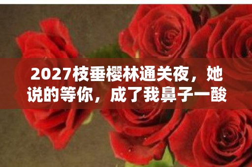 2027枝垂樱林通关夜，她说的等你，成了我鼻子一酸的伏笔