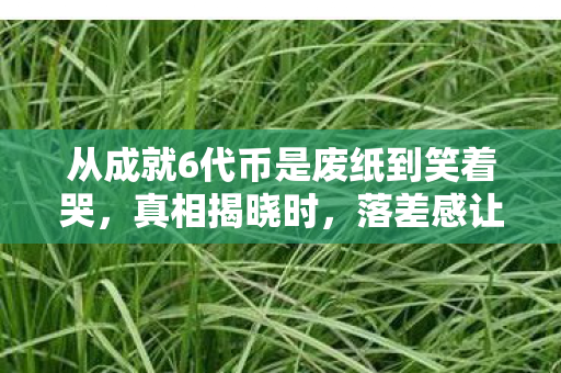 从成就6代币是废纸到笑着哭,真相揭晓时,落差感让我破防了 从成就6代币是废纸到笑着哭,真相揭晓时,落差感让我破防了