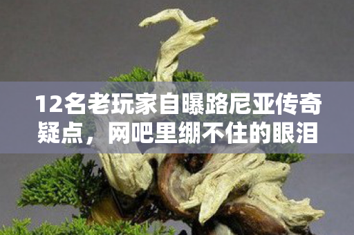 12名老玩家自曝路尼亚传奇疑点，网吧里绷不住的眼泪与欢笑