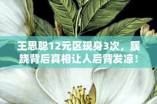 王思聪12元区现身3次，蹊跷背后真相让人后背发凉！
