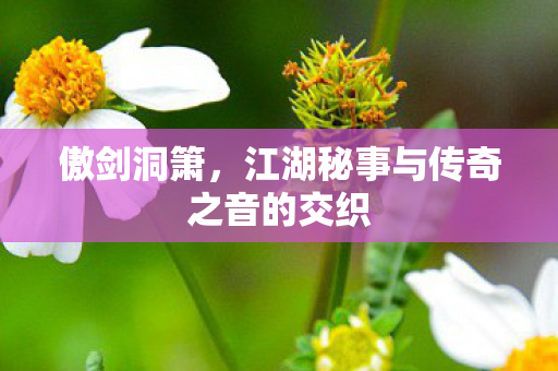 傲剑洞箫,江湖秘事与传奇之音的交织 傲剑洞箫,江湖秘事与传奇之音的交织