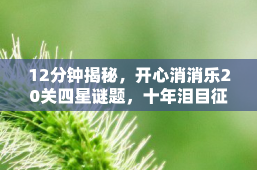 12分钟揭秘,开心消消乐20关四星谜题,十年泪目征程 12分钟揭秘,开心消消乐20关四星谜题,十年泪目征程