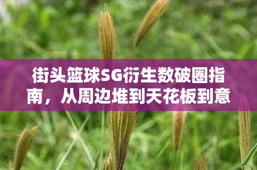 街头篮球SG衍生数破圈指南,从周边堆到天花板到意想不到的遗像联名 街头篮球SG衍生数破圈指南,从周边堆到天花板到意想不到的遗像联名