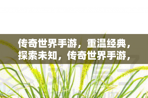 传奇世界手游，重温经典，探索未知，传奇世界手游，重温经典，探索未知之旅