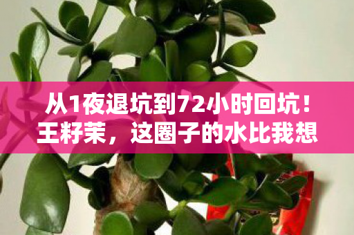 从1夜退坑到72小时回坑!王籽茉,这圈子的水比我想的深10倍! 从1夜退坑到72小时回坑!王籽茉,这圈子的水比我想的深10倍!