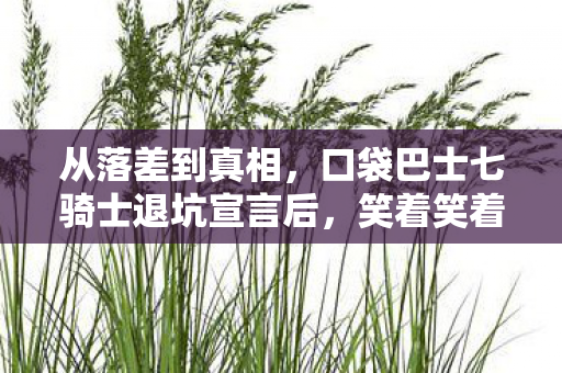 从落差到真相，口袋巴士七骑士退坑宣言后，笑着笑着哭了