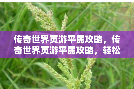 传奇世界页游平民攻略,传奇世界页游平民攻略,轻松玩转游戏,不花冤枉钱! 传奇世界页游平民攻略,传奇世界页游平民攻略,轻松玩转游戏,不花冤枉钱!