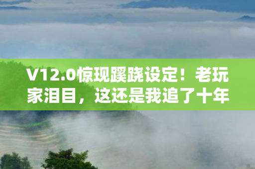 V12.0惊现蹊跷设定！老玩家泪目，这还是我追了十年的游戏吗？