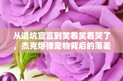 从退坑宣言到笑着笑着哭了,杰克爆弹宠物背后的落差真相 从退坑宣言到笑着笑着哭了,杰克爆弹宠物背后的落差真相