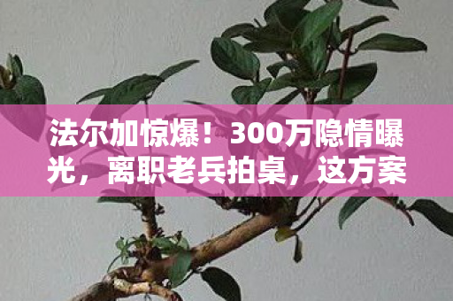 法尔加惊爆!300万隐情曝光,离职老兵拍桌,这方案能吓死人! 法尔加惊爆!300万隐情曝光,离职老兵拍桌,这方案能吓死人!