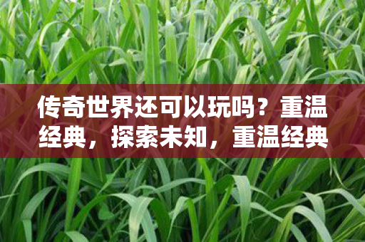 传奇世界还可以玩吗?重温经典,探索未知,重温经典,探索未知,传奇世界还能否再战江湖? 传奇世界还可以玩吗?重温经典,探索未知,重温经典,探索未知,传奇世界还能否再战江湖?