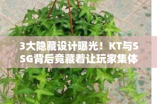 3大隐藏设计曝光！KT与SSG背后竟藏着让玩家集体破防的真相？