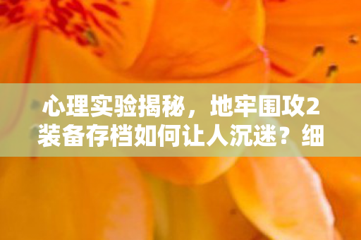 心理实验揭秘,地牢围攻2装备存档如何让人沉迷?细思极恐! 心理实验揭秘,地牢围攻2装备存档如何让人沉迷?细思极恐!