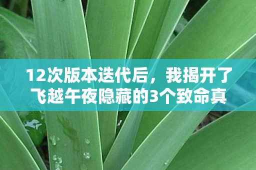 12次版本迭代后，我揭开了飞越午夜隐藏的3个致命真相