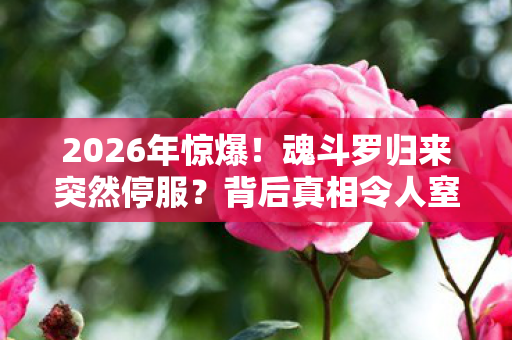2026年惊爆！魂斗罗归来突然停服？背后真相令人窒息！