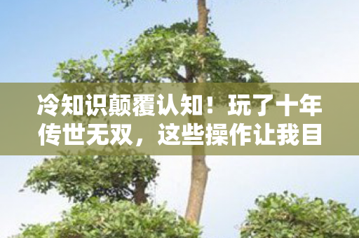 冷知识颠覆认知！玩了十年传世无双，这些操作让我目瞪口呆