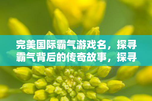 完美国际霸气游戏名，探寻霸气背后的传奇故事，探寻完美国际霸气游戏名背后的传奇故事