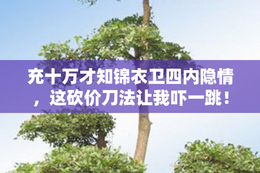 充十万才知锦衣卫四内隐情，这砍价刀法让我吓一跳！