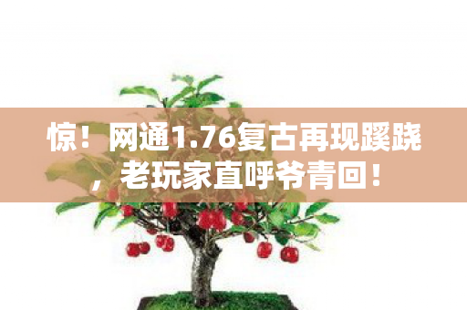 惊!网通1.76复古再现蹊跷,老玩家直呼爷青回! 惊!网通1.76复古再现蹊跷,老玩家直呼爷青回!