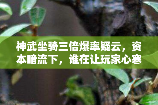 神武坐骑三倍爆率疑云,资本暗流下,谁在让玩家心寒? 神武坐骑三倍爆率疑云,资本暗流下,谁在让玩家心寒?