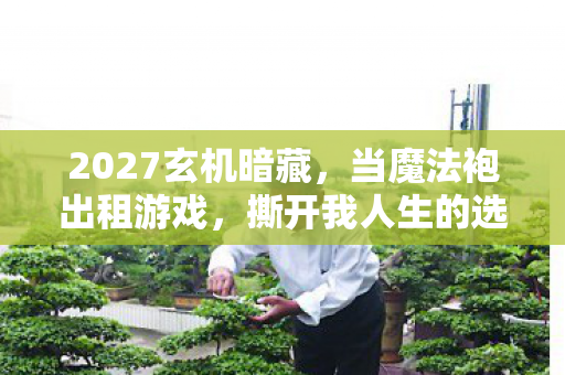 2027玄机暗藏,当魔法袍出租游戏,撕开我人生的选择困局 2027玄机暗藏,当魔法袍出租游戏,撕开我人生的选择困局