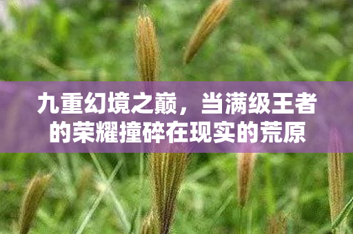 九重幻境之巅，当满级王者的荣耀撞碎在现实的荒原