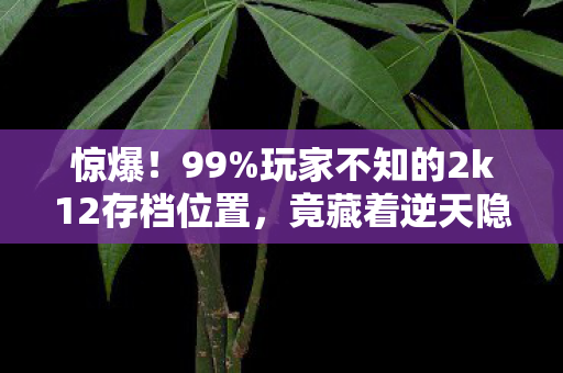 惊爆！99%玩家不知的2k12存档位置，竟藏着逆天隐藏玩法！