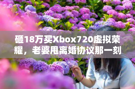 砸18万买Xbox720虚拟荣耀,老婆甩离婚协议那一刻我腿都软了! 砸18万买Xbox720虚拟荣耀,老婆甩离婚协议那一刻我腿都软了!