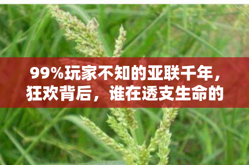 99%玩家不知的亚联千年,狂欢背后,谁在透支生命的最后一丝光? 99%玩家不知的亚联千年,狂欢背后,谁在透支生命的最后一丝光?