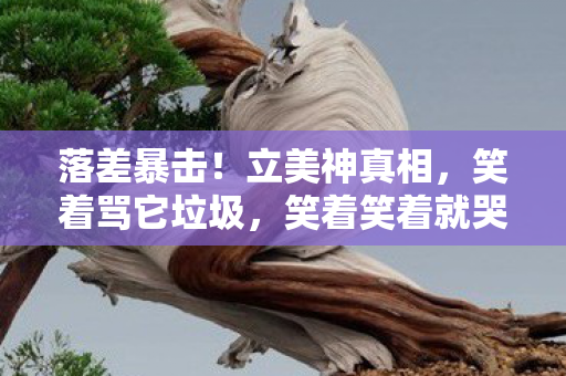 落差暴击！立美神真相，笑着骂它垃圾，笑着笑着就哭了