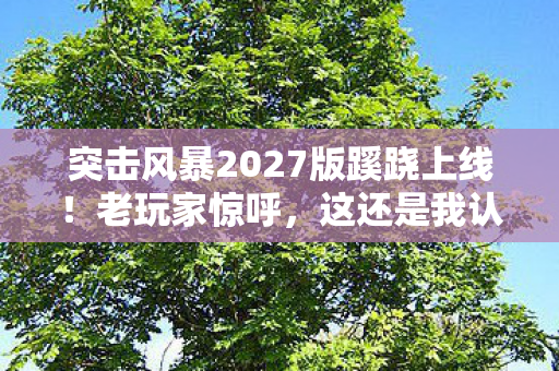 突击风暴2027版蹊跷上线!老玩家惊呼,这还是我认识的它吗? 突击风暴2027版蹊跷上线!老玩家惊呼,这还是我认识的它吗?
