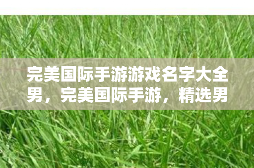 完美国际手游游戏名字大全男图片