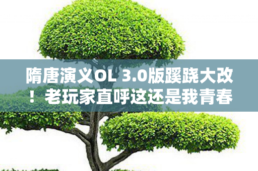 隋唐演义OL 3.0版蹊跷大改!老玩家直呼这还是我青春? 隋唐演义OL 3.0版蹊跷大改!老玩家直呼这还是我青春?