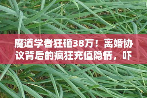 魔道学者狂砸38万!离婚协议背后的疯狂充值隐情,吓你一跳! 魔道学者狂砸38万!离婚协议背后的疯狂充值隐情,吓你一跳!