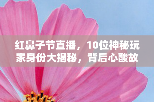 红鼻子节直播,10位神秘玩家身份大揭秘,背后心酸故事令人动容! 红鼻子节直播,10位神秘玩家身份大揭秘,背后心酸故事令人动容!